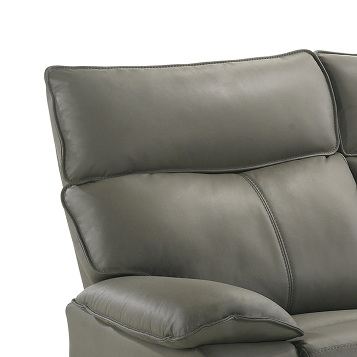 Wildcat Motion Loveseat in Aviarah Grey
