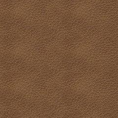 Bolsena Sofa Sleeper - In Home Furniture (San Antonio, TX)