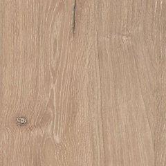 Cielden Bedroom Set - In Home Furniture (San Antonio, TX)