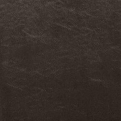 Kimonte Dining Chair Set - In Home Furniture (San Antonio, TX)