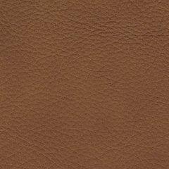 Magic Man 5-Piece Power Reclining Sectional - In Home Furniture (San Antonio, TX)