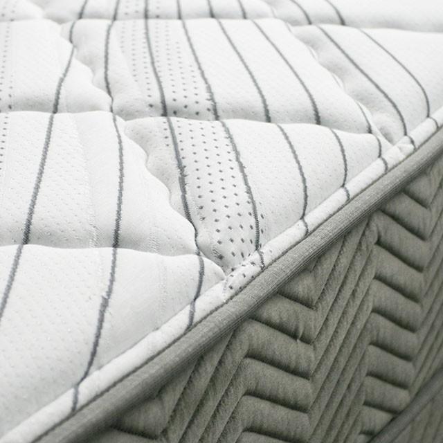 EDREA White/Gray 10" Tight Top Pocket Coil, Queen - In Home Furniture (San Antonio, TX)
