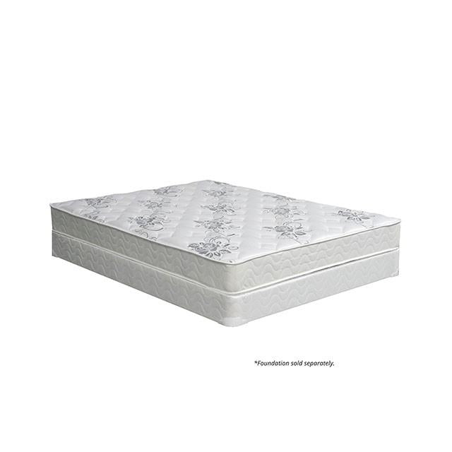 ELBERTYNA White 8" Tight Top Mattress, Twin - In Home Furniture (San Antonio, TX)