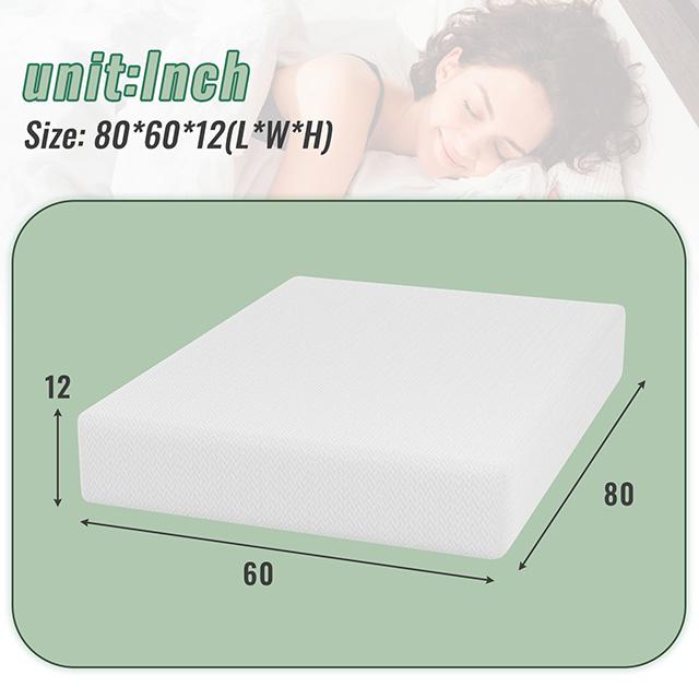 Coreopsis 12" Queen Memory Foam Wave Comfort