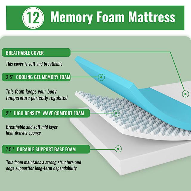 Coreopsis 12" Queen Memory Foam Wave Comfort