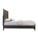 Harlington Panel Bed - In Home Furniture (San Antonio, TX)